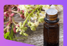 Bach Flower Energy Scanned Bach Flower Remedies