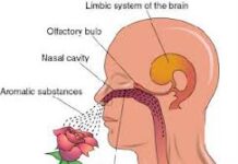 Aromatherapy Benefits Aromatherapy Introduction to Aromatherapy Benefits of Aromatherapy Essential Oils for Aromatherapy Therapeutic uses of Aromatherapy